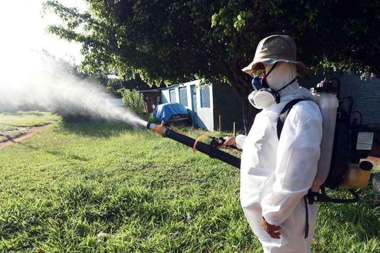 O número de casos aumentou exatamente no mesmo período de avanço das viroses zika, dengue e chikungunya, ligadas ao 'Aedes aegypti'