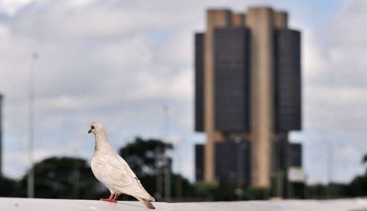 O BC reforçou ainda que o resultado líquido do aumento de cotas não afeta o nível das reservas internacionais do Brasil