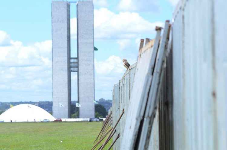 Grades na Esplanada: segurança reforça contra tumultos