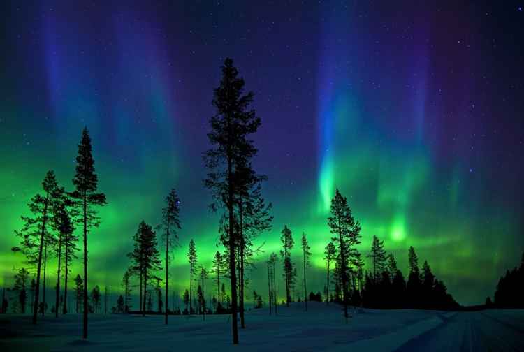 Inverno no Alasca: aurora boreal e esportes de inverno