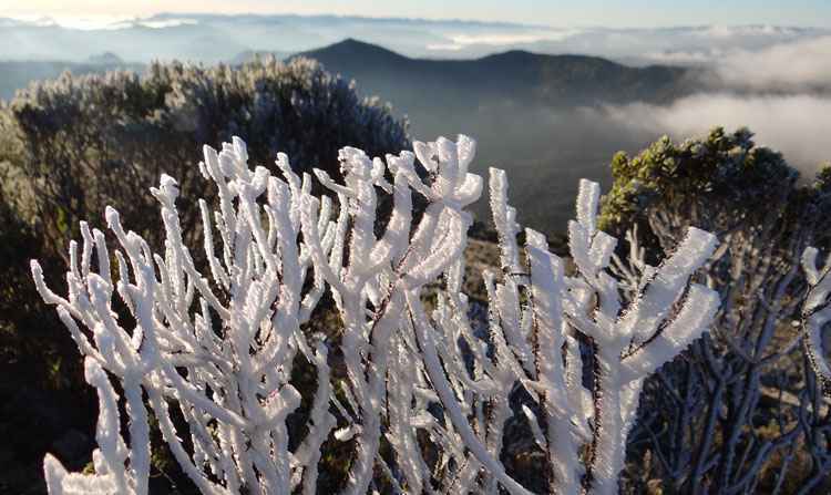 A Defesa Civil de Santa Catarina emitiu estado de alerta, na segunda-feira, de frio intenso em todo o estado