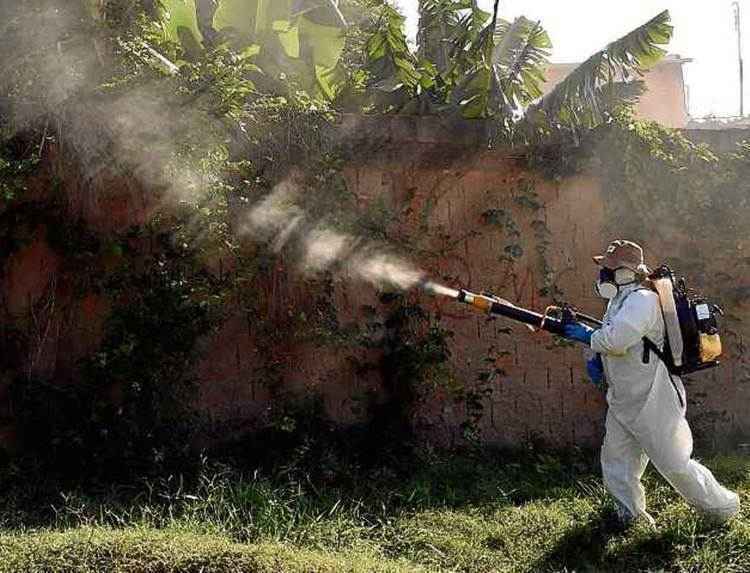 Agente de saúde combate focos do inseto no Gama. População do mosquito Aedes aegypti diminui