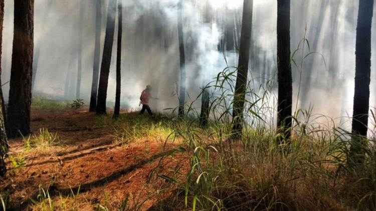 Incêndio atingiu o cerrado em Sobradinho em abril: até 20 de julho, bombeiros atenderam 2.506 chamados