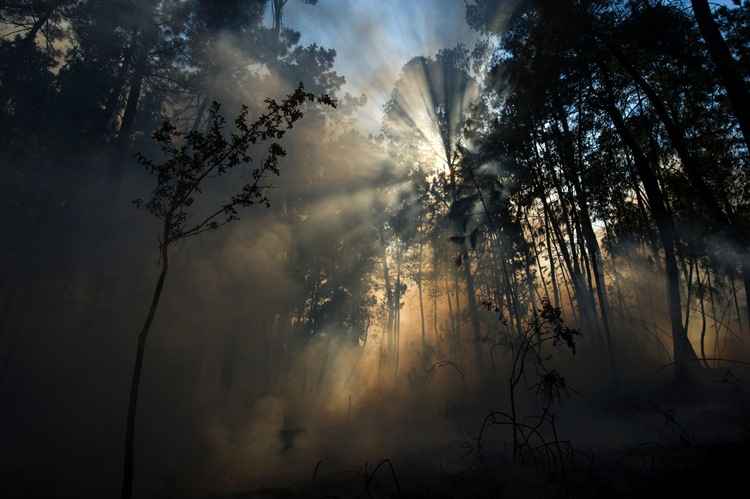 Fogo destrói floresta no noroeste da Espanha