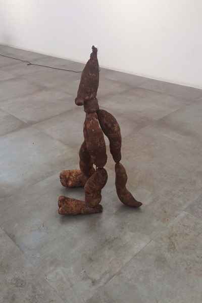 Escultura Trair a espécie, de Cristiano Lenhardt, é feita de cará