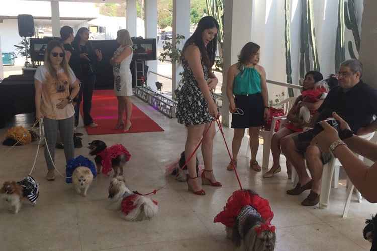 O evento que acontece anualmente atrai famílias e companheiros de quatro patas