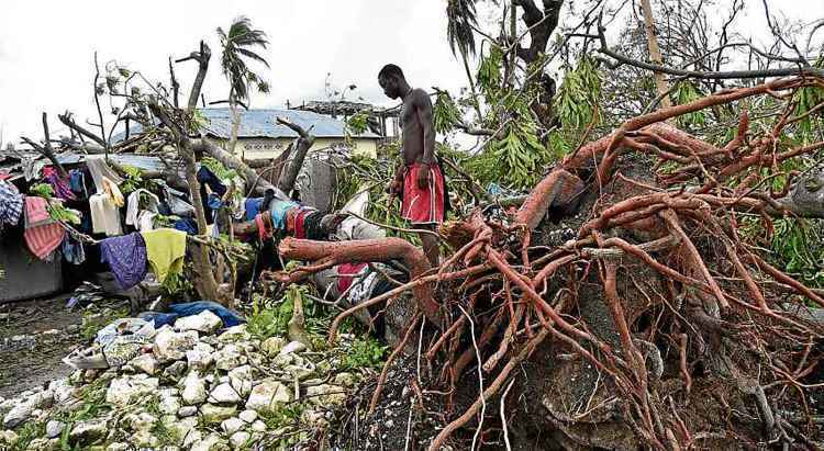 A força do furacão Matthew arrancou árvores pela raiz, em Croix March-a-Terre, no sudoeste do Haiti: rastro de destruição e mortes no país caribenho