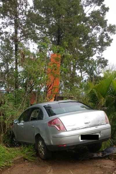 Motorista perde o controle do carro, cai em buraco e tenta escapar escalando uma árvore.