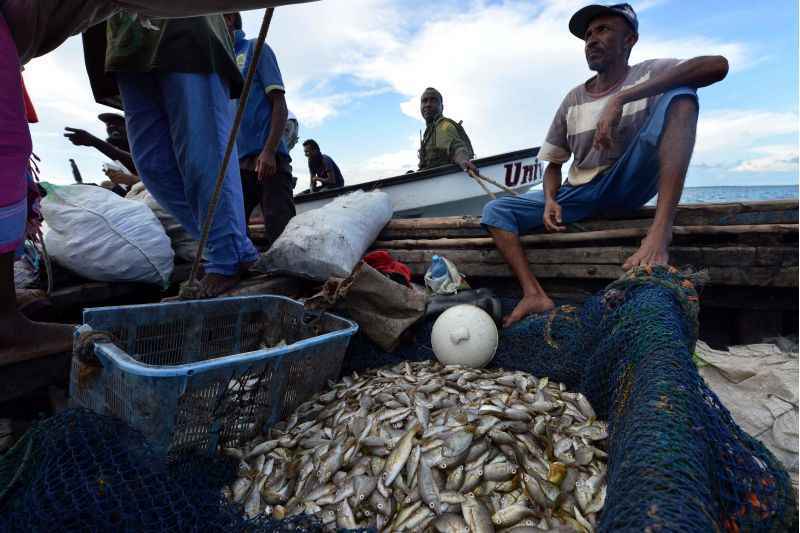 Especialistas alertam  que a falta de dados confiáveis traz insegurança, prejuízos e extinção das espécies: promessa de melhorias em 2017