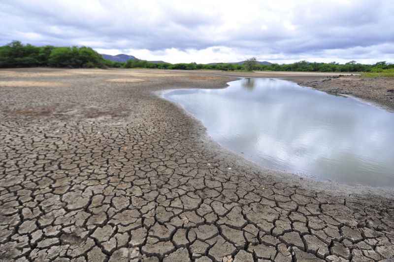 Em Sertânia, interior de Pernambuco, a imagem de uma das piores secas da história do país: temor de especialistas é que situação possa piorar