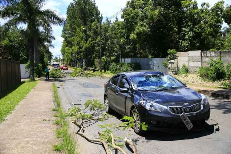 Durante a queda, os galhos arrastaram os fios de alta-tensão para a via