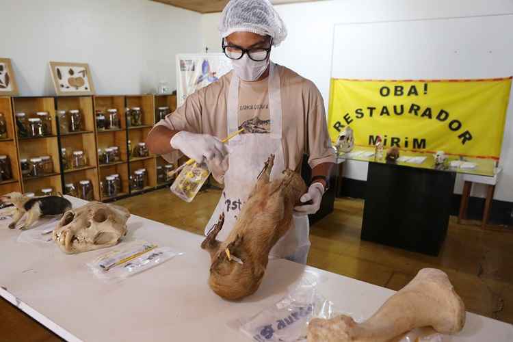 As aulas são gratuitas e começam nesta terça-feira (3). O Jardim Zoológico receberá turmas até 24 de fevereiro. A ação é de responsabilidade dos técnicos do Museu de Ciências Naturais da instituição