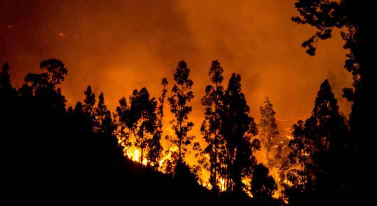 Devido a esta emergência, 4.000 pessoas foram retiradas por bombeiros e policiais, cerca de 80% da população total, enquanto os incêndios mantêm seu avanço descontrolado ameaçando dezenas de povoados