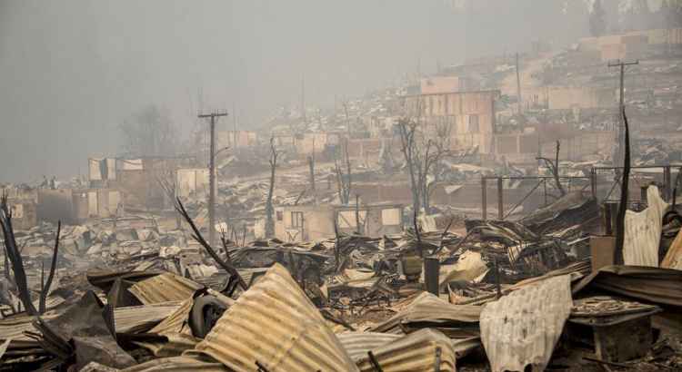 Os incêndios colocaram em risco a flora e fauna silvestre das regiões afetadas