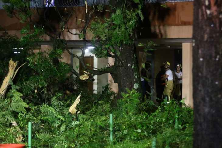 Na 411 norte, bombeiros retiraram os troncos de uma árvore que caiu