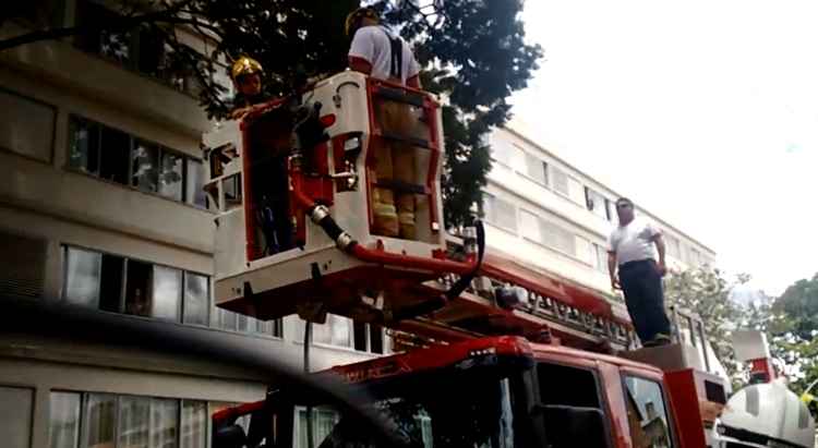 A equipe foi acionada pelo dono do animal, que precisou ser resgatado de uma árvore em frente ao apartamento onde vive, no Bloco E da 711 Norte