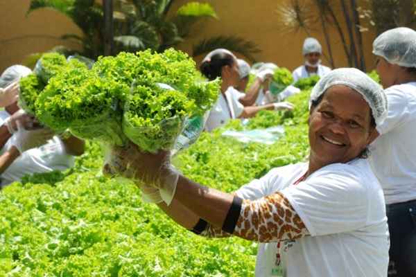 A aluna da Fábrica Social Margarida Teixeira, de 63 anos