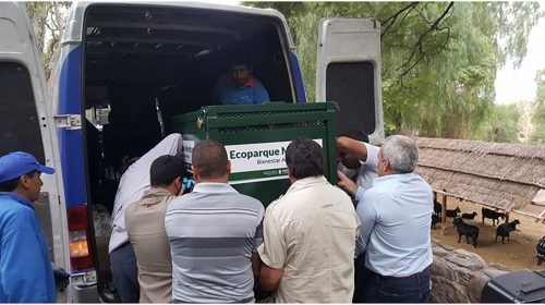 Processo de transferência da chimpanzé Cecília de Mendoza para Sorocaba