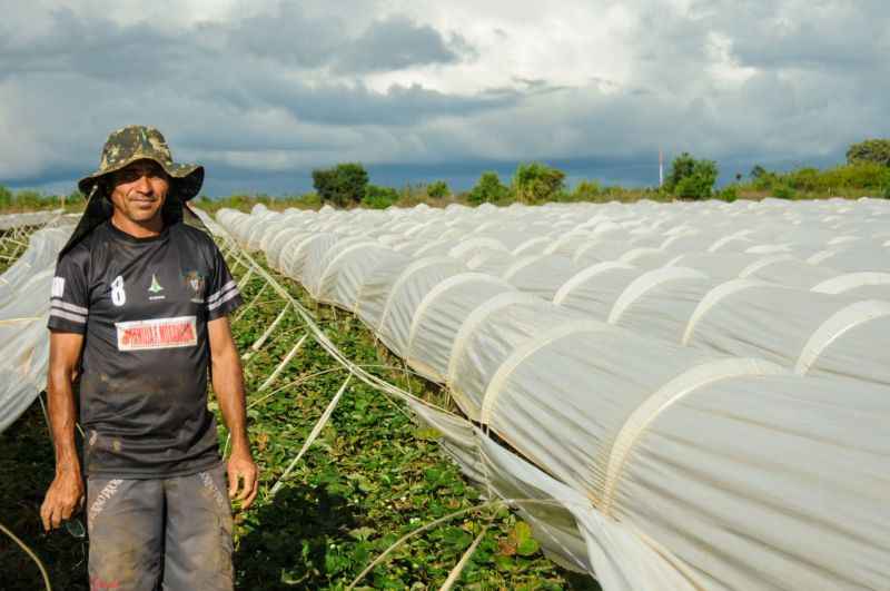 Francisco usa técnica de irrigação desenvolvida pela Emater-DF