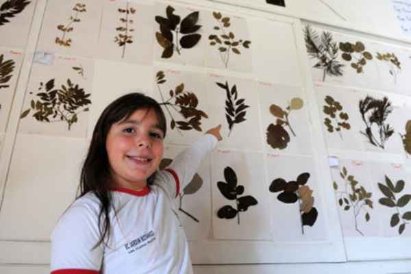 Ana Clara, que cursa o quinto ano na Escola Classe Jardim Botânico