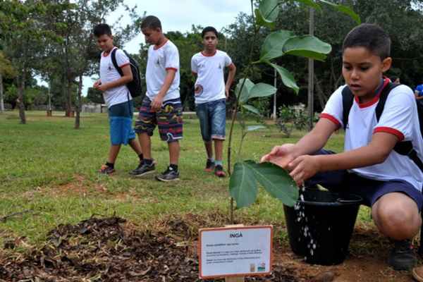 O estudante João Vitor de Melo Silva, de 11 anos, plantou uma das seis primeiras mudas no Três Meninas