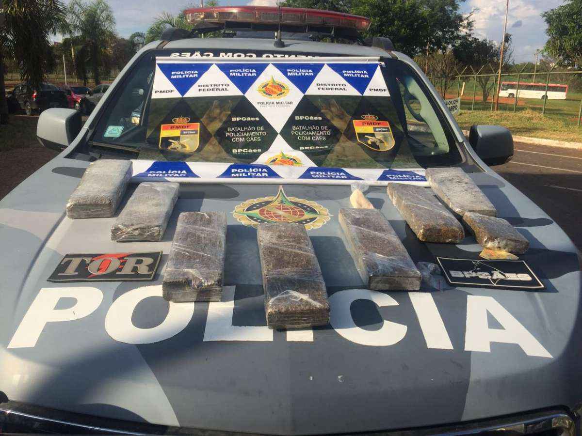 A droga foi farejada por cadela do Batalhão de Cães da Polícia Militar do DF