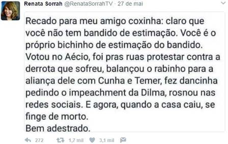 Captura de tela da conta fake de Renata Sorrah