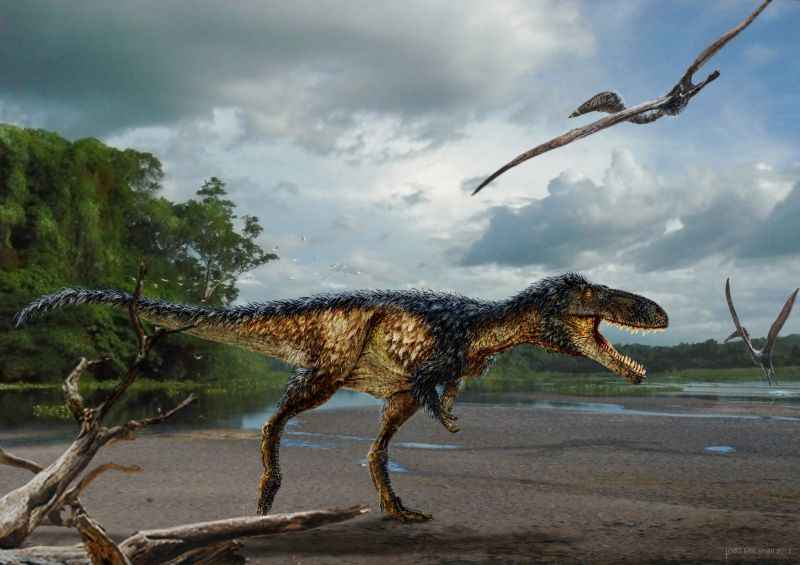 dinossauro tiranossauro rex