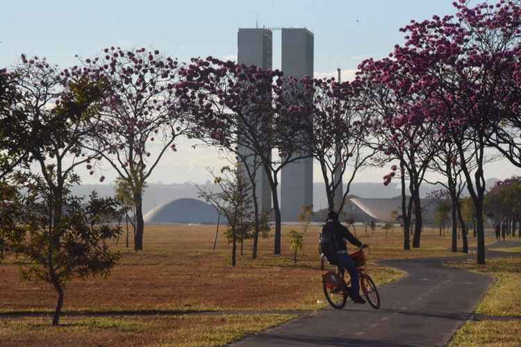 Pessoa passeia na Esplanada dos Ministérios, Brasília, em bicicleta