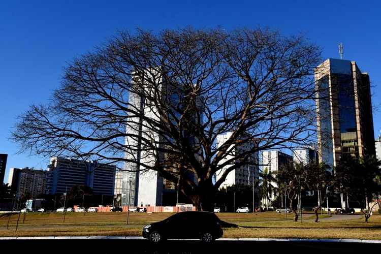 O meteorologista Hamilton Carvalho, explica que, nos últimos três anos, a temperatura aumentou cerca de 1ºC