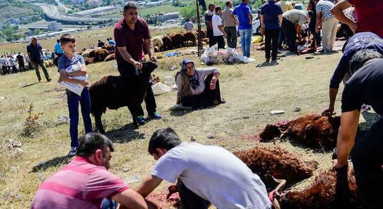 Além do típico sacrifício de gado, comum em todos os países muçulmanos, alguns cidadãos de Mossul voltaram a fazer bolos que antes não podiam, devido à extrema pobreza na qual viveram durante a ocupação do EI