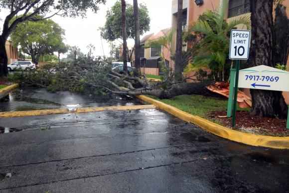 Árvore caída na pista devido aos fortes ventos das primeiras chuvas ligadas ao Furacão Irma em Miami