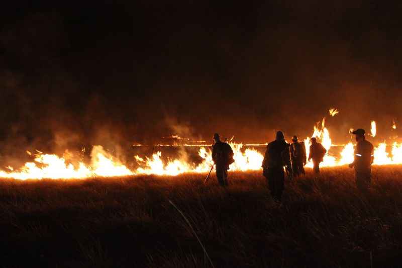 Bombeiros, brigadistas e voluntários tentam conter chamas que atingem diferentes regiões do parque há duas semanas