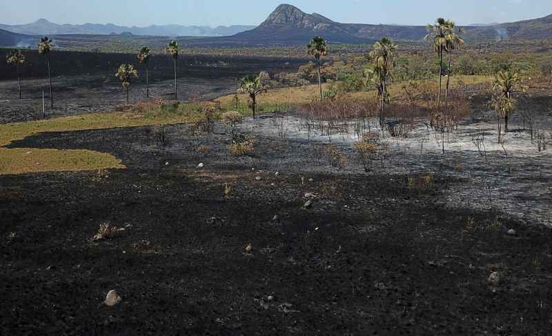 Jardim de Maytrea foi atingido pelo fogo antes do Vale da Lua