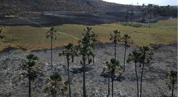 Incêndio de grandes proporções no Jardim Maytrea no Parque Nacional Chapada dos Veadeiros