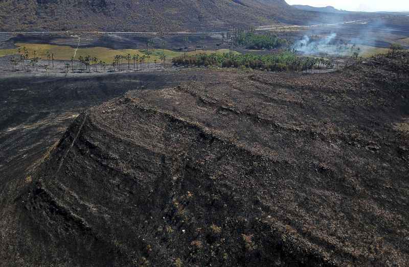 Ele atuava contra o incêndio que destruía o cerrado no Vão do Moleque, povoado de Cavalcante distante mais de 200km de Alto Paraíso (GO)