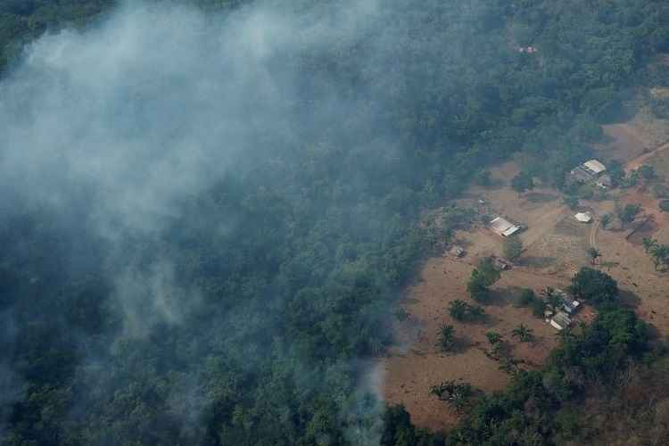 A primeira ação permitiu que o grupo reunisse dinheiro suficiente para ajudar os bombeiros no combate às chamas