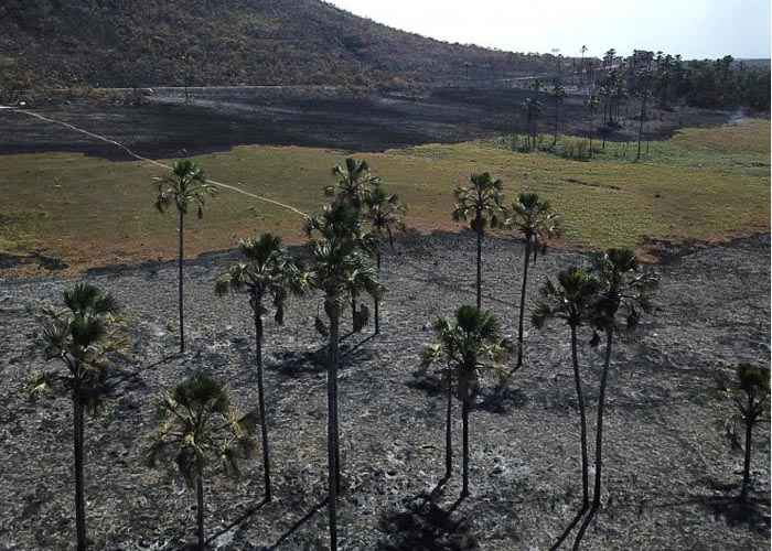 Os pequenos produtores rurais são apontados por ambientalistas como suspeitos de envolvimento com o incêndio considerado criminoso