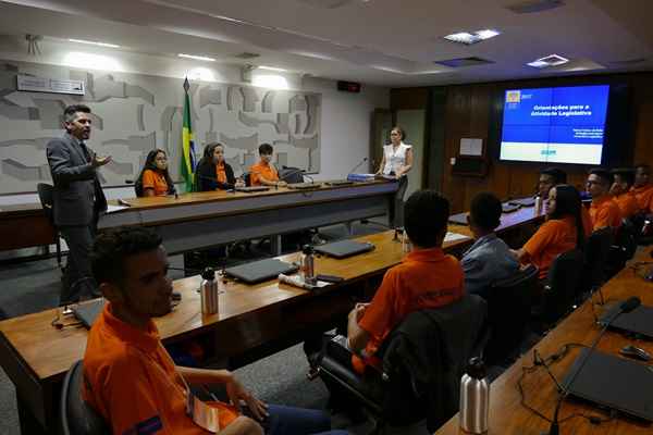 Durante quatro dias 27 estudantes foram Jovens Senadores