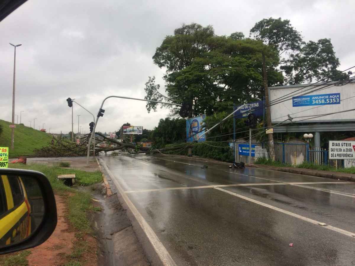 Árvore caída atravessando a EPTG