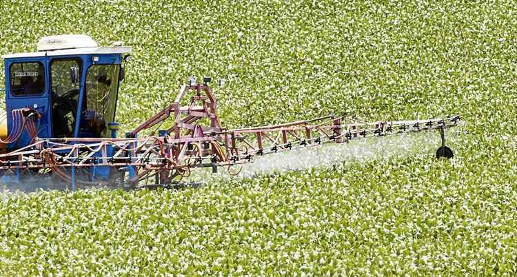 Máquina agrícola no campo