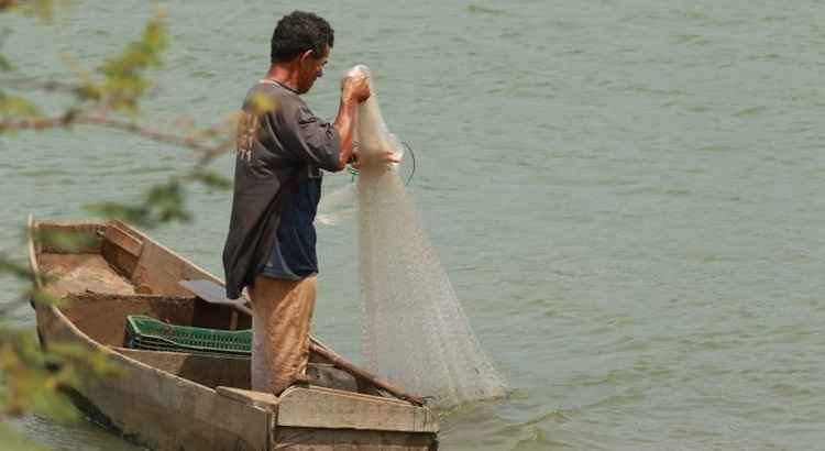 O cultivo, pesca, caça e criação de animais foi a atividade mais citada entre quem trabalhava para o próprio consumo