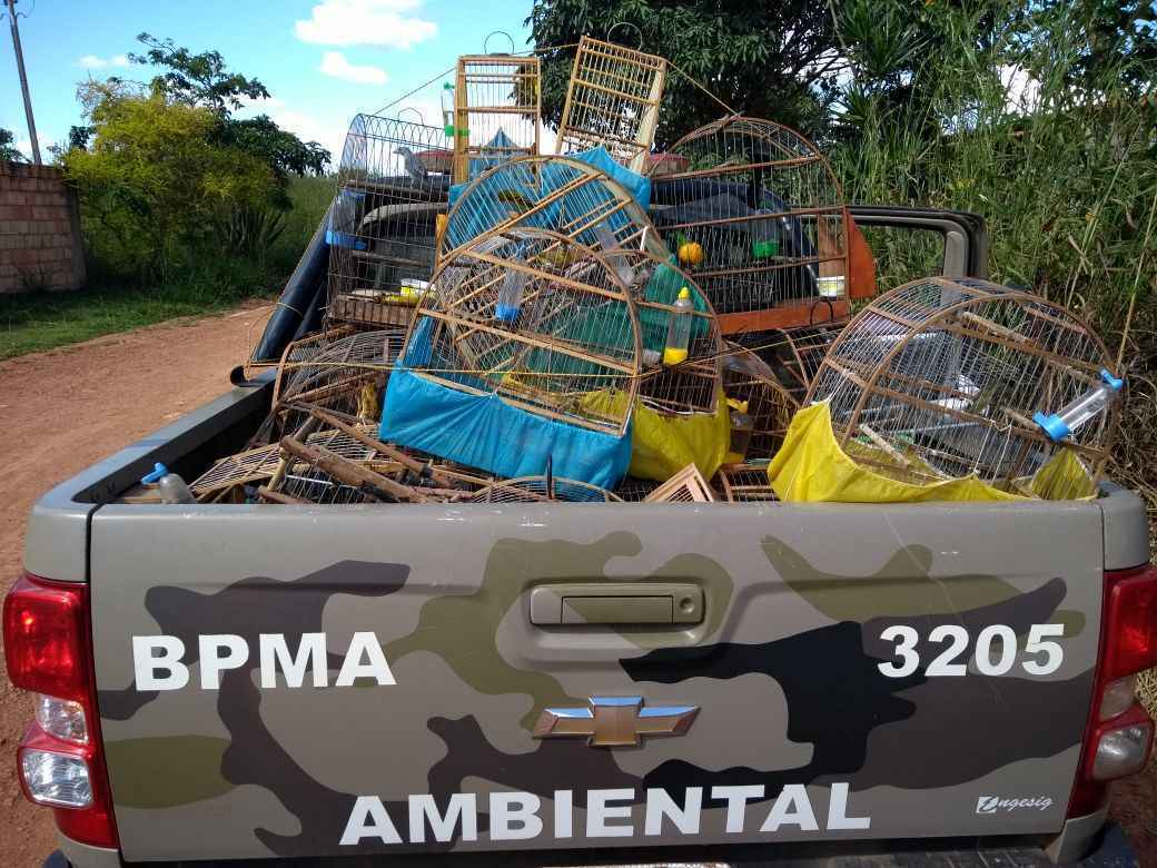 Os animais estavam em gaiolas e foram encaminhados para o Centro de Triagem de Animais Silvestres (Cetas) do Ibama