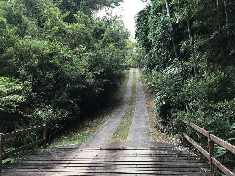 Antes de chegar à propriedade, há uma ponte estreita, que não recebe manutenção há algum tempo