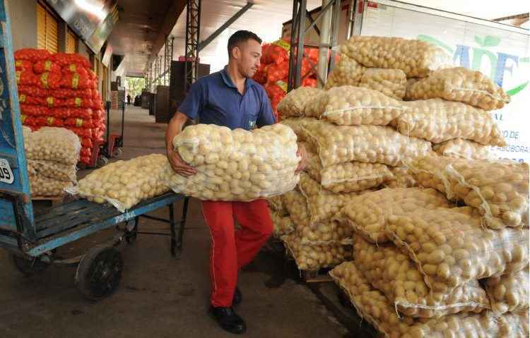 Preço da saca 50kg de batatas foi de R$ 100 para R$ 200, chegando a R$ 250, mas recuou para R$ 160