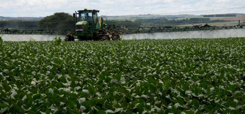 Atualmente, a Monsanto está desenvolvendo a terceira geração de sementes de milho, soja e algodão utilizando a biotecnologia