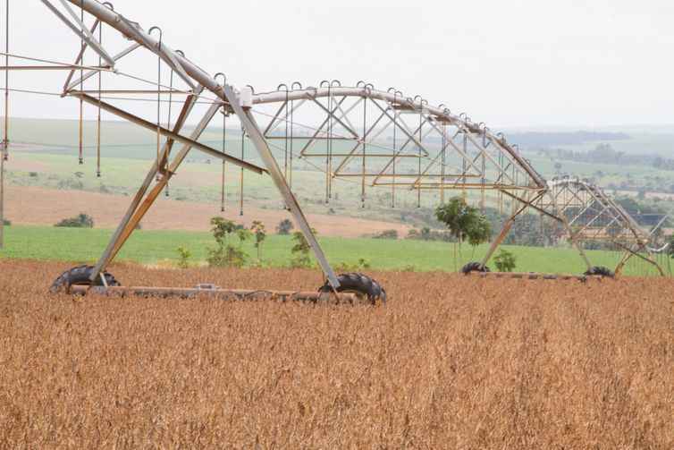 Desenvolvimento do agronegócio alavancou índices da Região Centro-Oeste