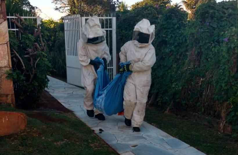 Bombeiros trabalham contra ataque de abelhas