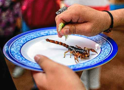 O escorpião e animais parecidos também podem evitar infecções