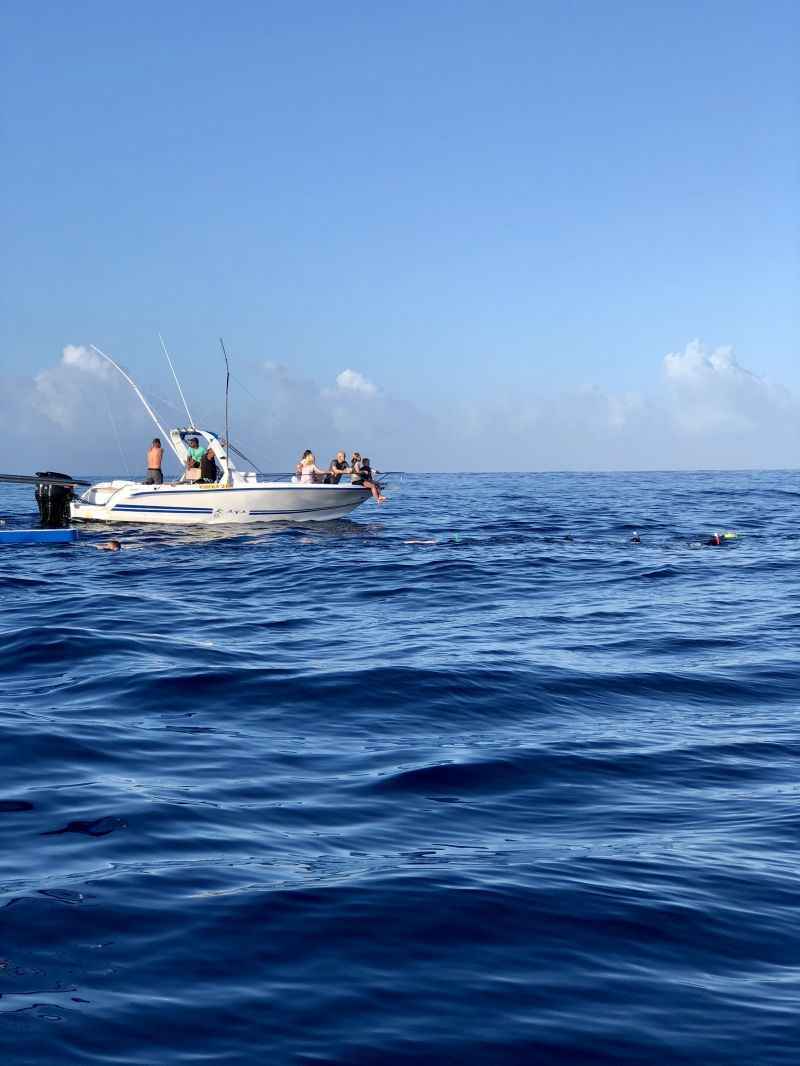 Barco leva passageiros para mergulhar com golfinhos